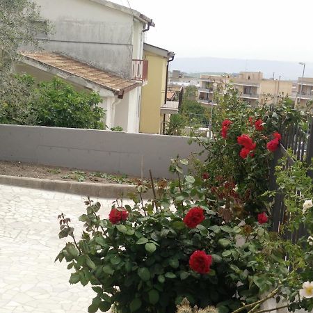 מטרה B&B Green Da Maria מראה חיצוני תמונה