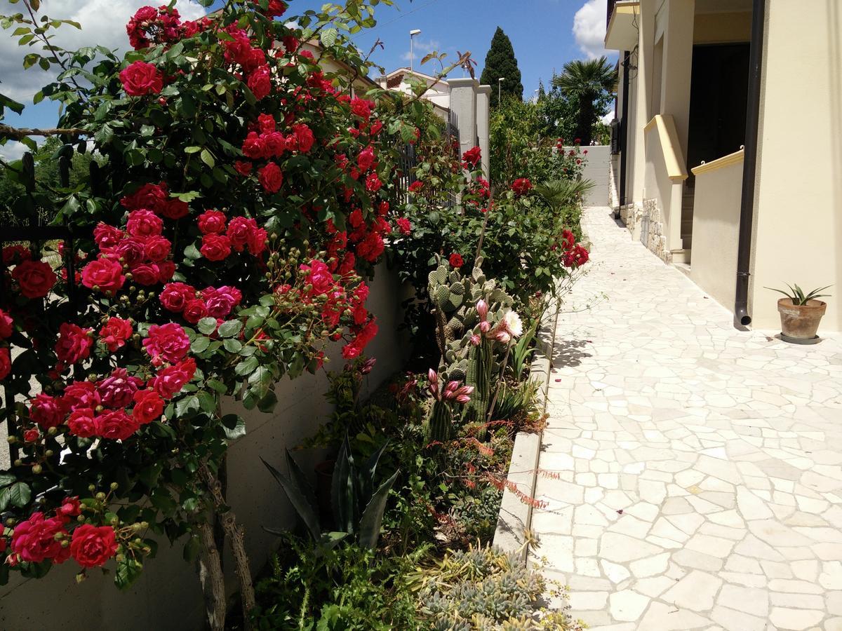 מטרה B&B Green Da Maria מראה חיצוני תמונה