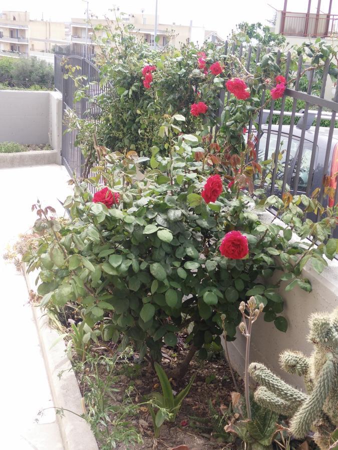 מטרה B&B Green Da Maria מראה חיצוני תמונה